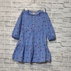 Crewcuts Blue Striped Kids Dress with apple‎ print ruffles and buttons size 7